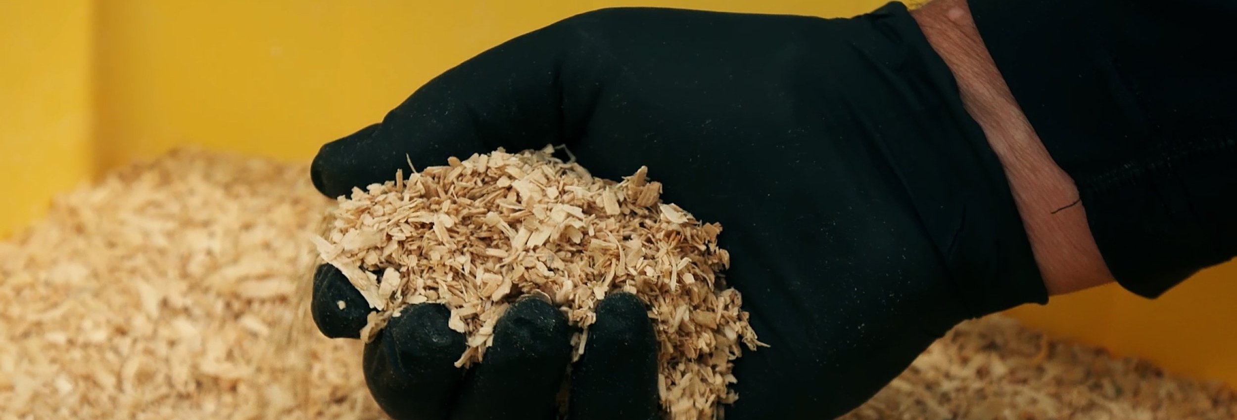 Sustainable Plastics: Inter IKEA purchases stake in New Zealand start-up Sustainable Plastics: Inter IKEA purchases stake in New Zealand start-up