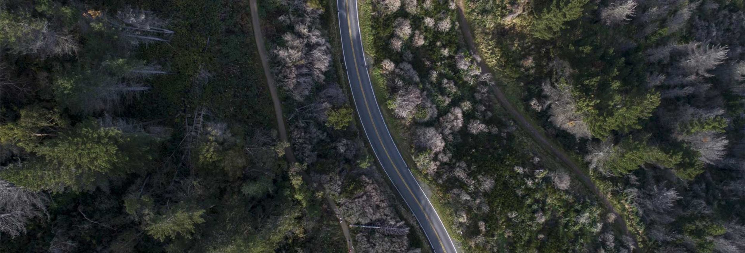New Zealand's Cleantech Sector A Chance To Lead A New Global Innovation Agenda New Zealand's Cleantech Sector A Chance To Lead A New Global Innovation Agenda
